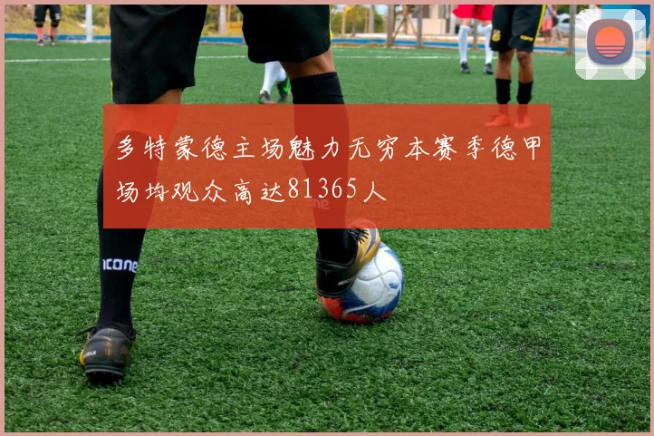 多特蒙德主场魅力无穷本赛季德甲场均观众高达81365人