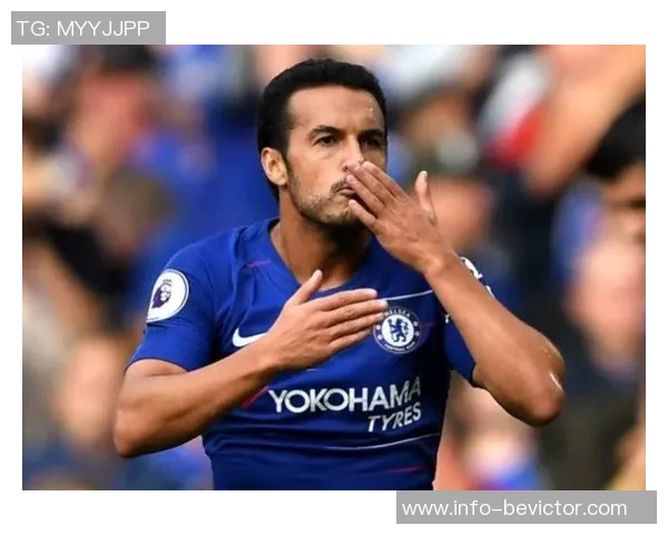 谢林汉姆评论切尔西放弃杰克逊的决定对佩德罗适应影响深远 谢林汉姆评论切尔西放弃杰克逊的决定对佩德罗适应影响深远